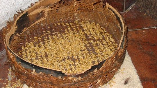 etno-album-219-165753